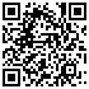 手机/微信访问网站